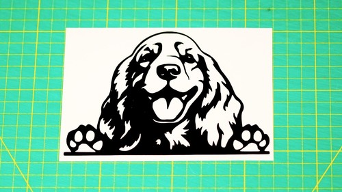 Cocker spaniel dog board - on,