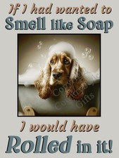 Cocker Sprocker Spaniel Dog