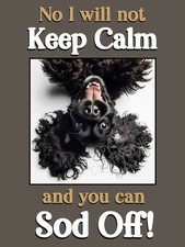 Cocker Spaniel Black Pet Puppy