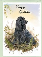 Cocker Spaniel (Black) Dog