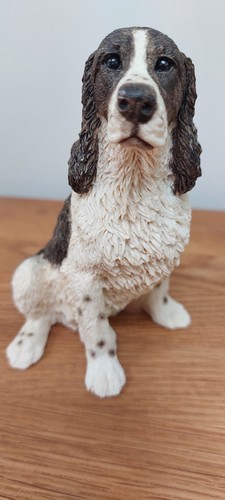 Castagna original spaniel dog - castagna,