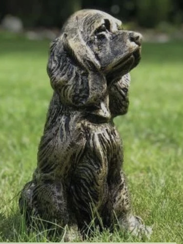 Brushed gold cocker spaniel - cocker,