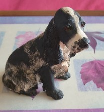 Border Fine Arts Cocker