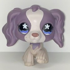 Purple White Cocker Spaniel