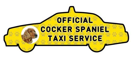 Funny cocker spaniel taxi - funny,