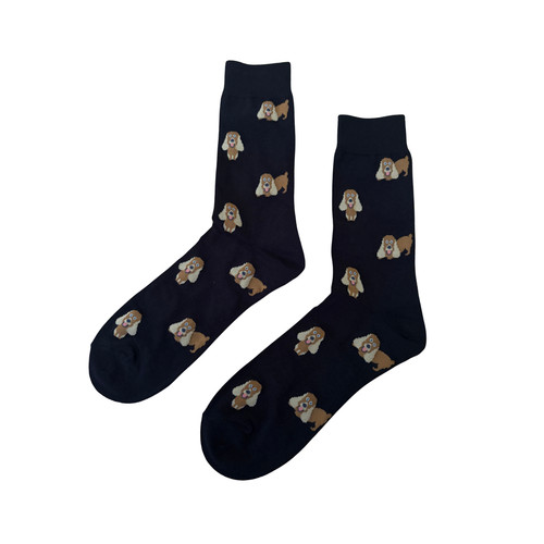 Golden cocker spaniel black - golden,