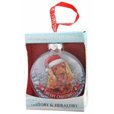 Brown Cocker Spaniel Christmas