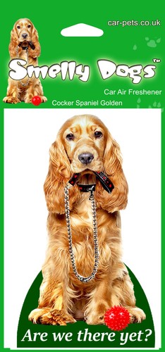 Cocker spaniel golden lovers - cocker,