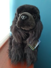 12" English Cocker Spaniel