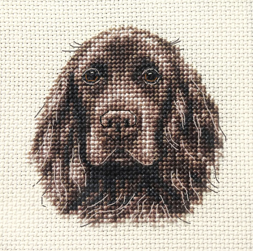 Brown cocker spaniel pup dog - spaniel,