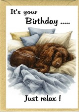 Cocker Spaniel (Working) Dog