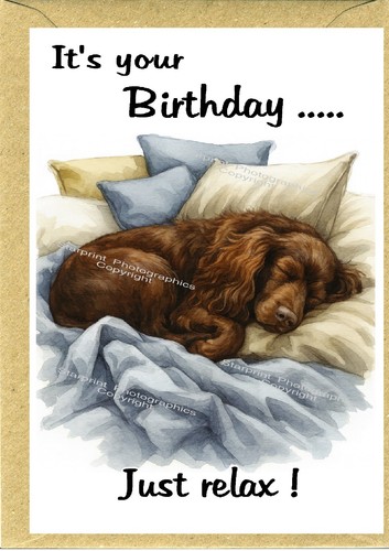 Cocker spaniel dog - spaniel,