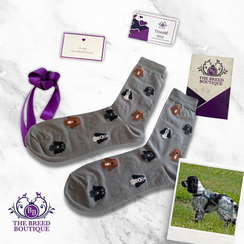 Cocker spaniel socks - socks, unisex