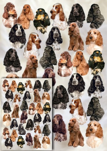 Cocker spaniel dog gift - cocker,