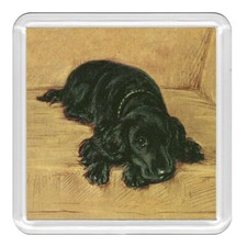 Cocker Spaniel Sleeping Dog