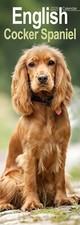 English Cocker Spaniel Slim